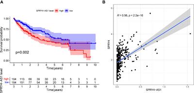 SPRY4-AS1, A Novel Enhancer RNA, Is a Potential Novel Prognostic Biomarker and Therapeutic Target for Hepatocellular Carcinoma